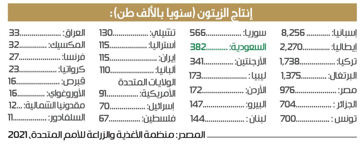 المملكة التاسعة عالميا والخامسة عربيا في إنتاج الزيتون