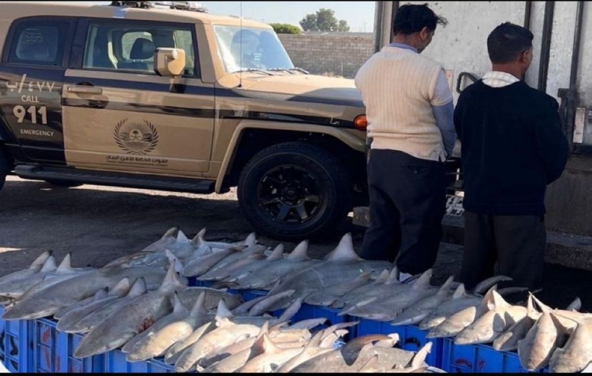 ضبط بنجلاديشيين يبيعان كائنات بحرية مهددة بالانقراض