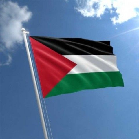 محلل سياسى فلسطينى: قرار العدل الدولية انتصار واضح للقيم الأخلاقية