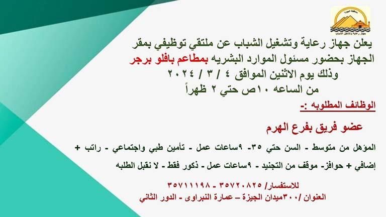 تأمين طبي واجتماعي وحوافز.. وظائف جديدة بمحافظة الجيزة