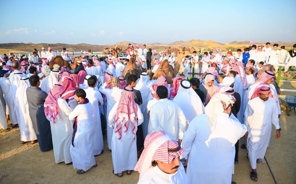 مهرجان منتجات المواشي.. ظاهرة تنموية ونافذة تسويقية للمزارعين