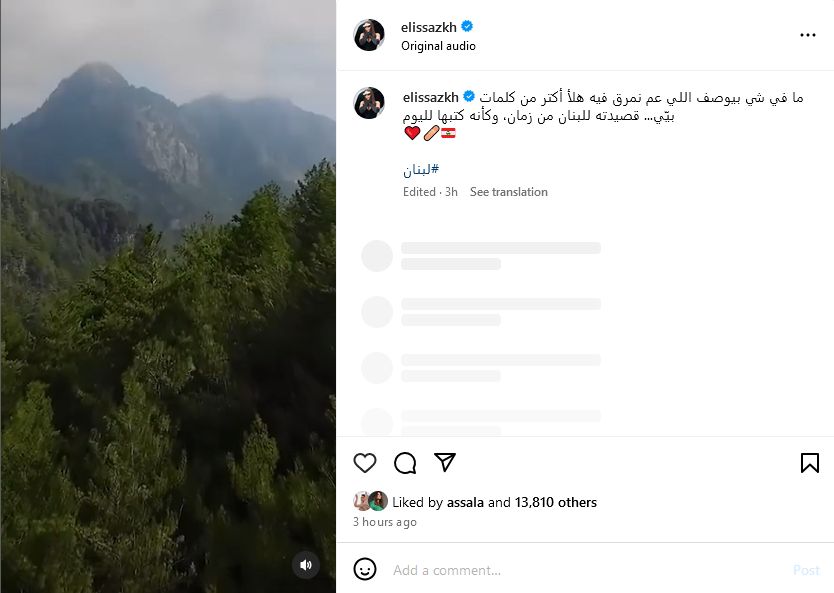 إليسا تتلقى هجوما قاسيا بسبب دعم لبنان.. ماذا حدث ؟