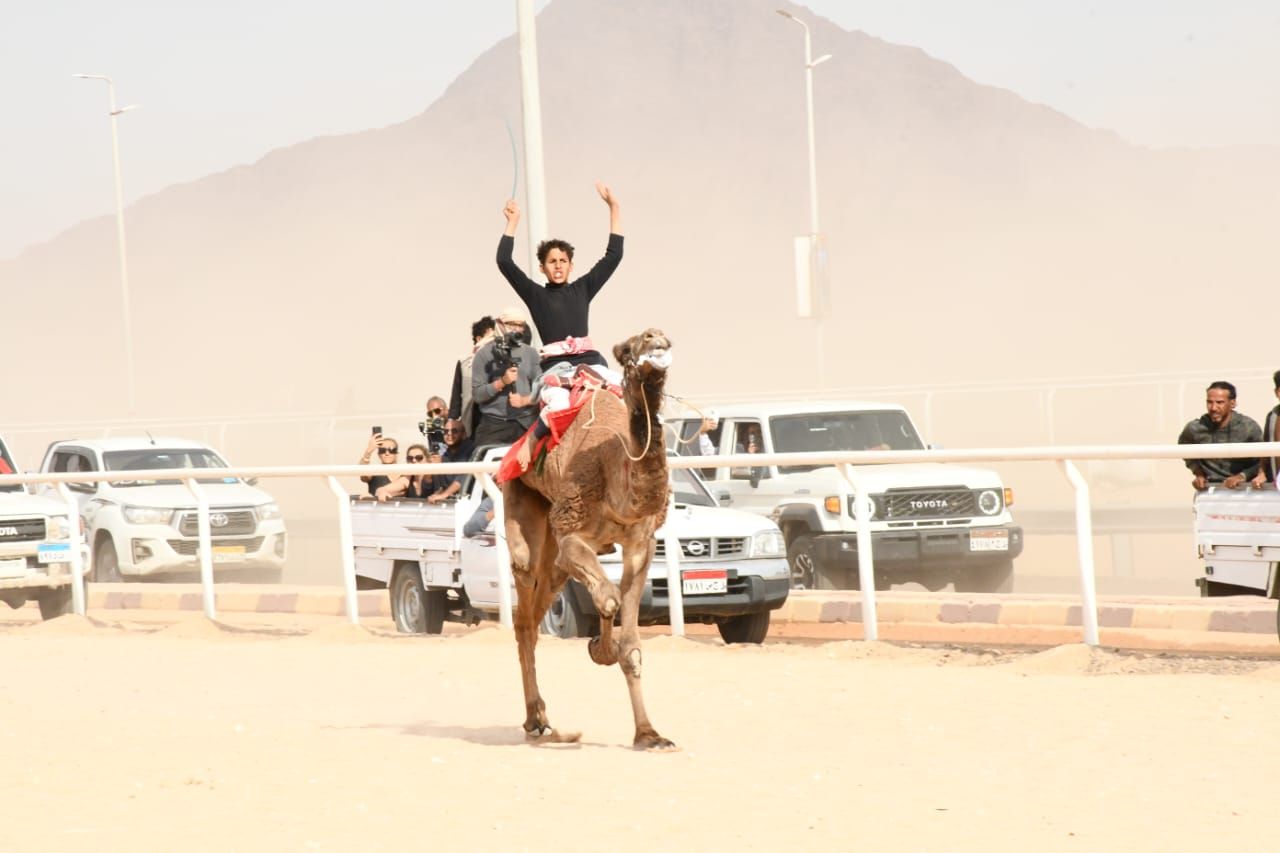 وزير الرياضة ومحافظ جنوب سيناء يشهدان ختام المهرجان العربي للهجن والتراث .. صور