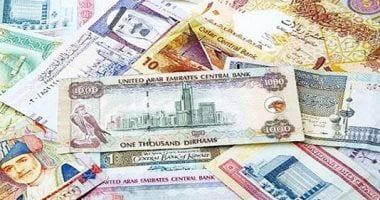 الدولار بـ50.4 جنيه.. تعرف على أسعار العملات اليوم الإثنين 20 - 1 – 2025