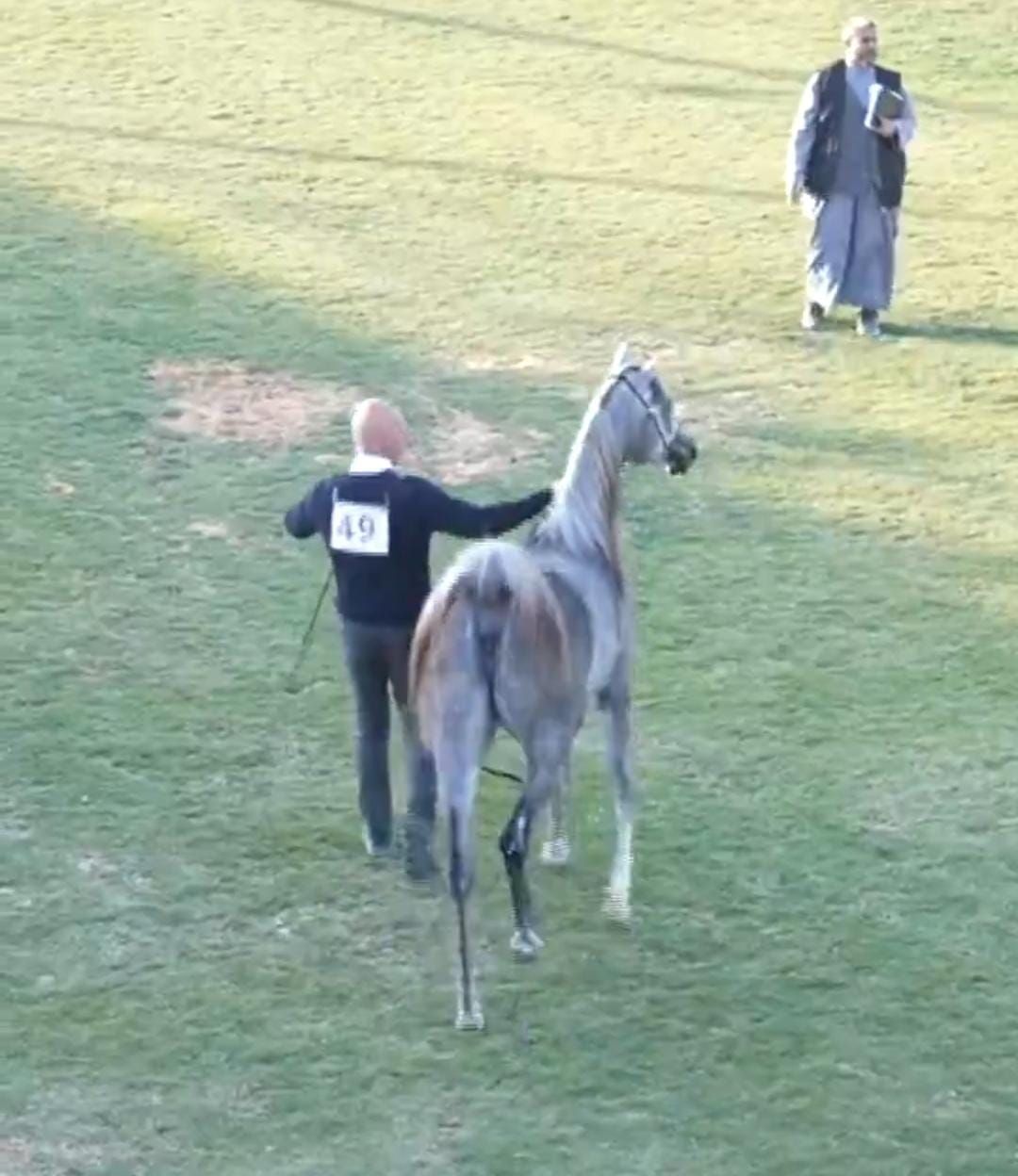 مالك خيول يكشف تفاصيل أغلى صفقة خيل تجاوزت المليون دولار .. فيديو