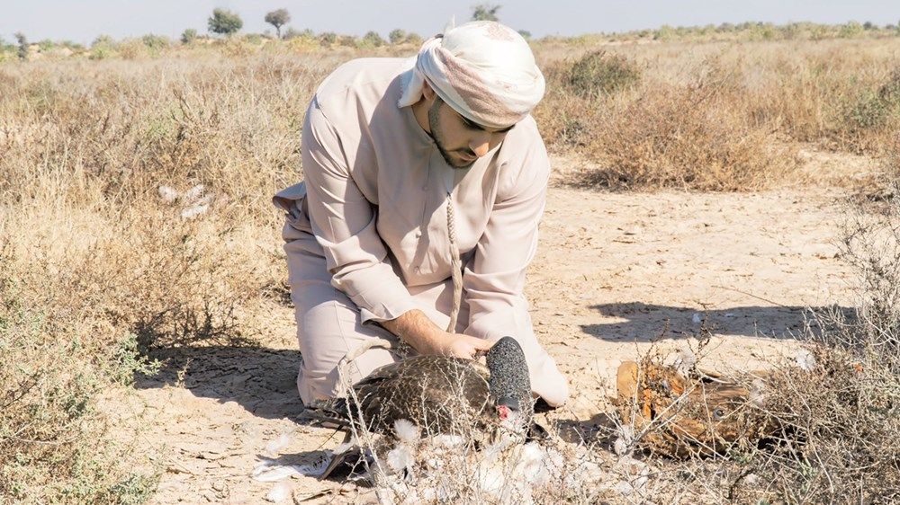 منصور بن زايد: المقناص إرث نفخر به ونعيشه بكل تفاصيله