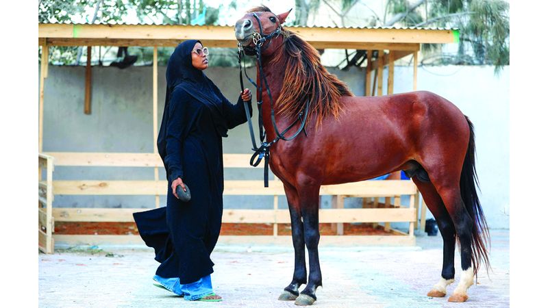 الامارات | «أول فارسة» صومالية تتجول في الشوارع وتزرع الأمل