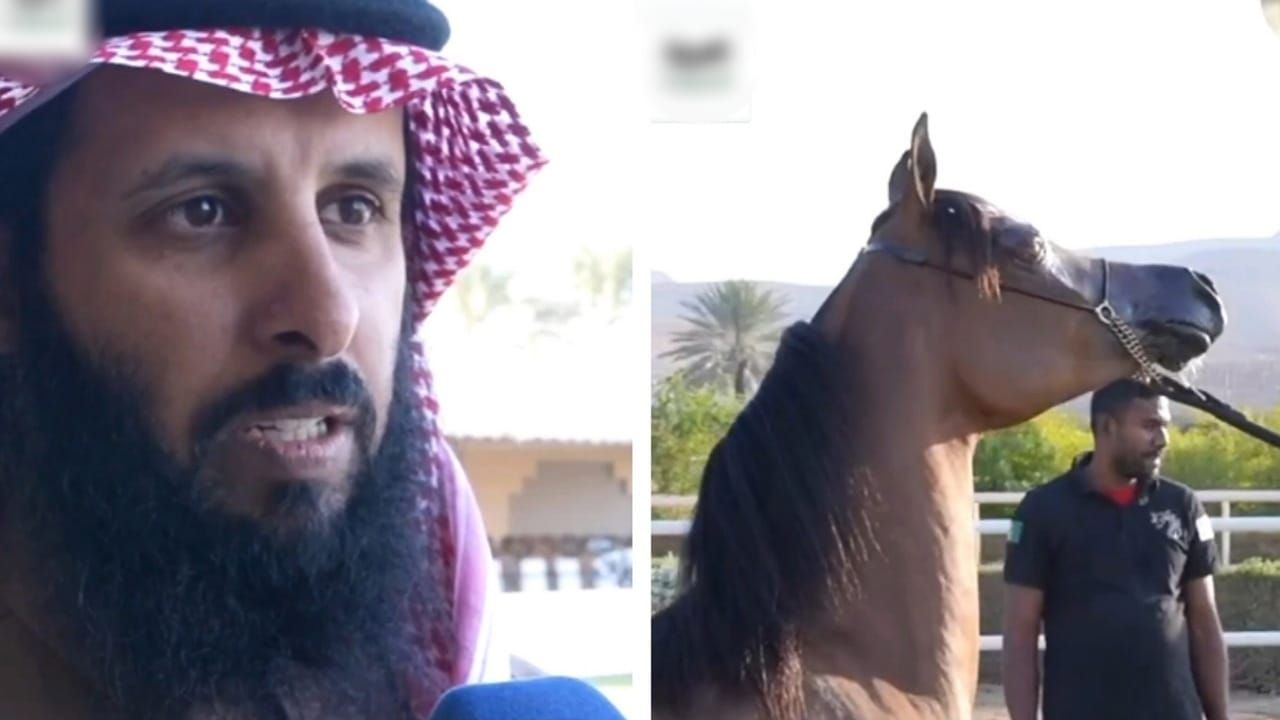 مالك خيول يكشف تفاصيل أغلى صفقة خيل تجاوزت المليون دولار .. فيديو