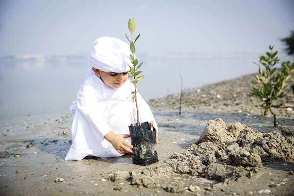 "نزرع للاستدامة".. مشروع جديد يعزز دور المرأة الإماراتية في القطاع الزراعي