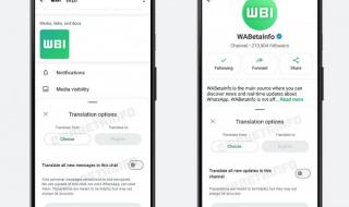 تكنولوجيا: تطبيق WhatsApp يعمل على دعم الترجمة في القنوات والمحادثات مع مميزات جديدة للإتصال