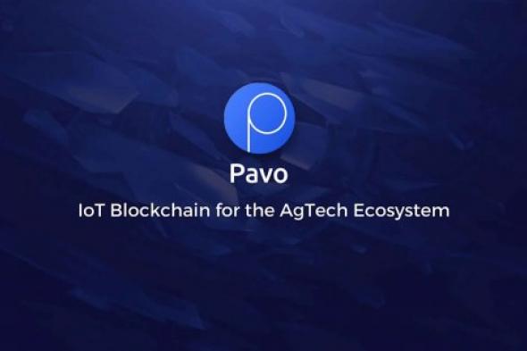 بافوكوين "Pavocoin"  ثورة في قطاع الزراعة باستخدام البلوكشين