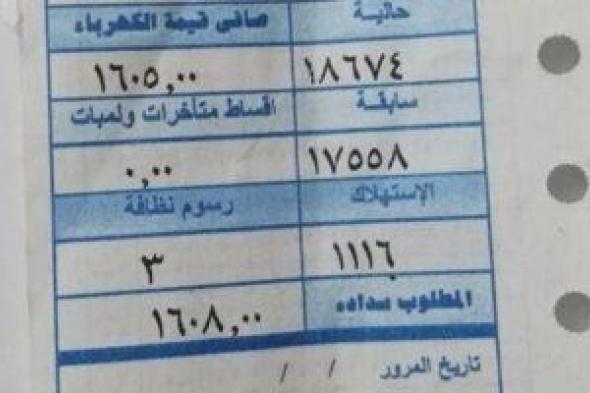 كهرباء الإسكندرية: تقسيط قيمة تأمين الاستهلاك على الفاتورة بـ6.5 جنيه