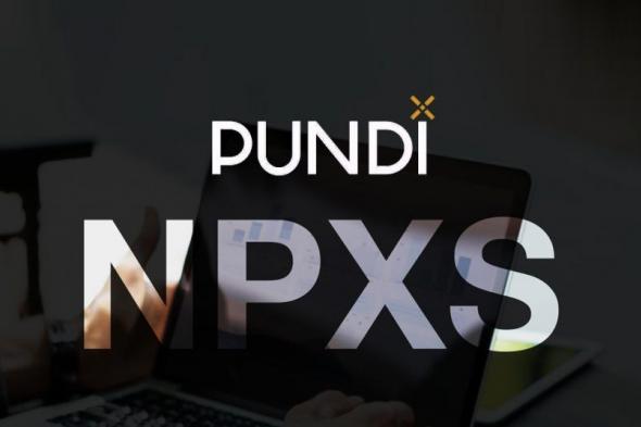 تعرف على خارطة الطريق لـ PUNDI X وإنجازاتها والشراكات التي حققتها