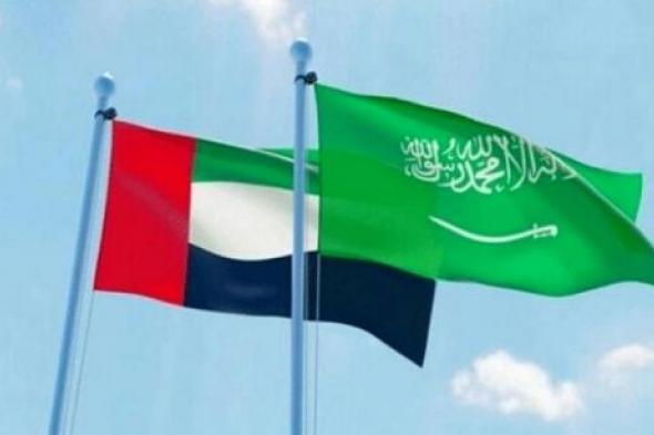 الامارات تغضب السعودية والديوان الملكي يتدخل - قرار مفاجئ وسبب واحد ومهمة قادمة لـ 90 الف جندي