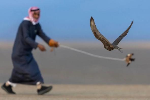 العالم في أرض الحضارات.. مشاركون دوليون يتغنون بكأس العلا للصقور