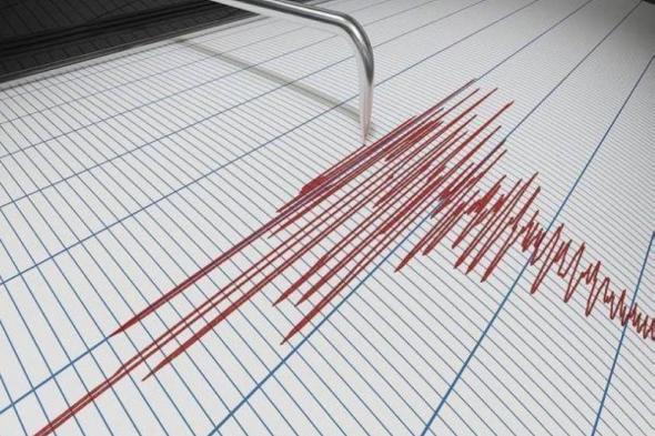 تخوف من هزة ارتدادية مدمرة.. زلزال بقوة 4.6 ريختر يضرب باكستان