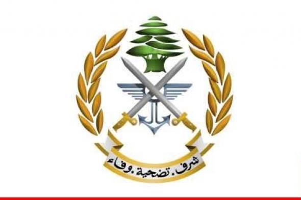 الجيش: توقيف شخص في خلدة لاطلاقة النار وإصابته عددًا من المنازل والمحلات التجارية