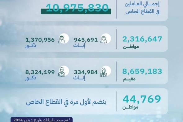 44.7 ألف سعودي ينضمون للعمل بالقطاع الخاص في ديسمبر