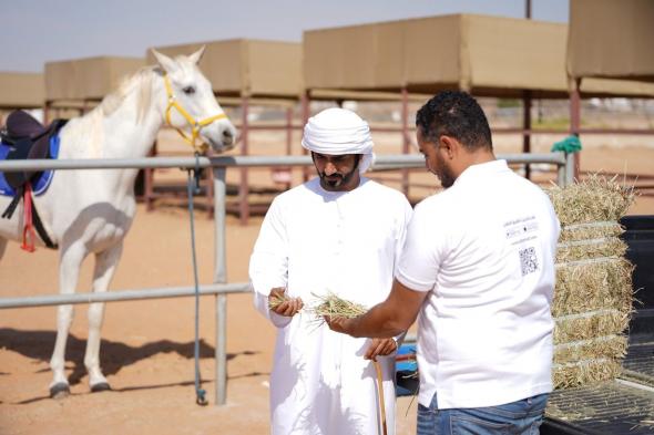 الامارات | "الطنّاف"..تطبيق يتيح للمزارعين الحصول على الأعلاف عبر الإنترنت