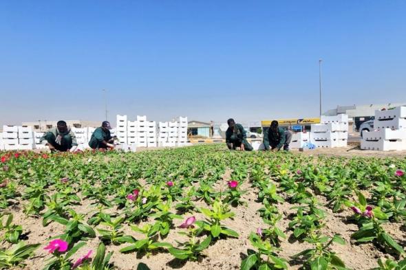 "بيئة الجوف" تبحث سبل التعاون لدعم أنشطة مركز تنمية المراعي بالمنطقة