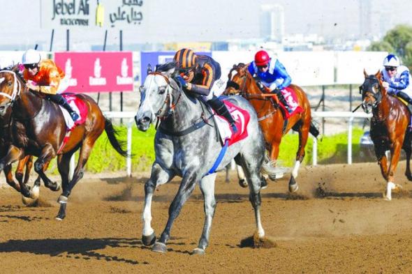 الامارات | «سوينغ فوت» و«راوي» بطلا «تحضيري جبل علي»