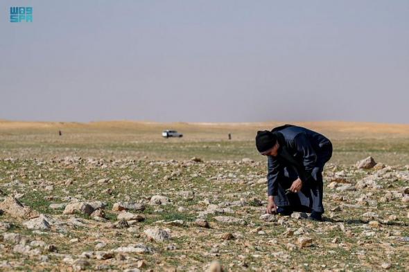 "لا تتعدوا الحدود".. تحذير أمني للباحثين عن الفقع