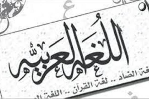 مساواة اللغة العربية باللغات الاخرى في الحجية بالاتفاقيات الحكومية