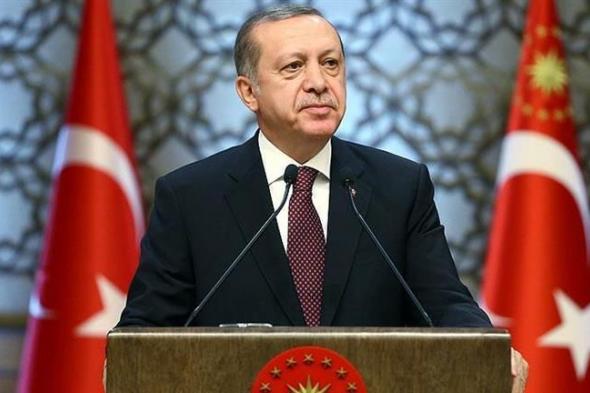 أردوغان: الدول المتقدمة تدعم إسرائيل بدلا من إيقاف مجازرها