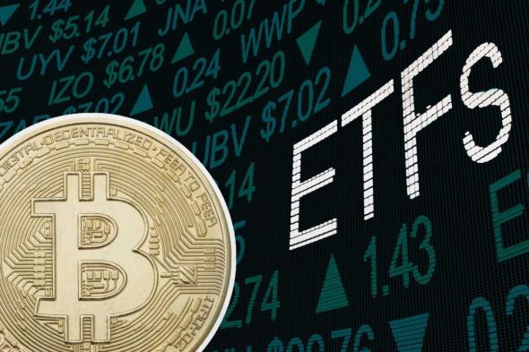 إليكم مقدار عملات البيتكوين التي أضافتها صناديق ETF البيتكوين منذ الموافقة عليها