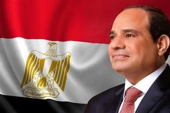 الرئيس السيسي يُحذر من خطورة التصعيد في غزة.. ويؤكد ضرورة تفعيل مسار حل الدولتين