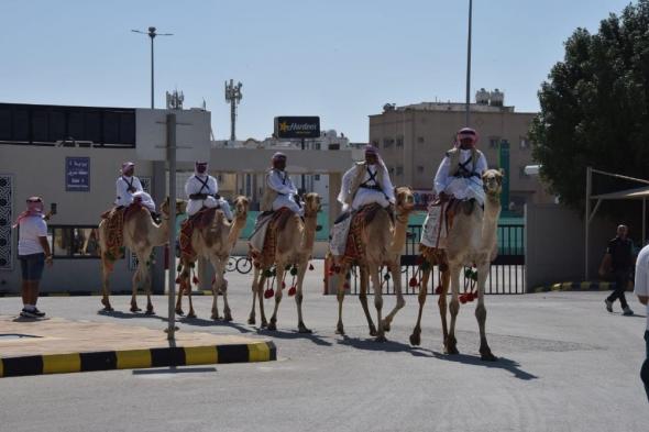 صور| مسيرة للإبل والدراجات الهوائية احتفالًا بيوم التأسيس في الشرقية