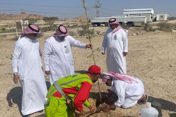 بمشاركة المنسوبين.. تنفيذ مبادرات لتشجير مبنى التعليم ومركز البيضاء 