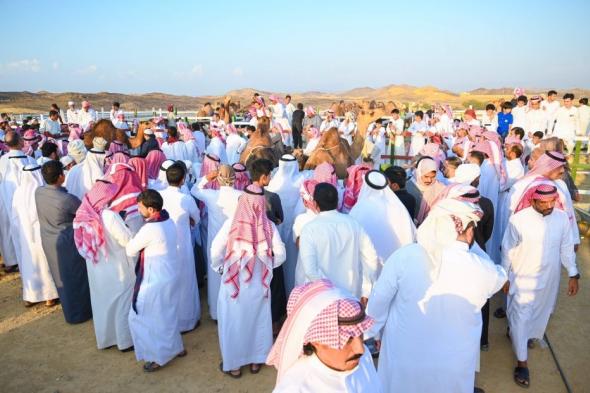 مهرجان منتجات المواشي.. ظاهرة تنموية ونافذة تسويقية للمزارعين