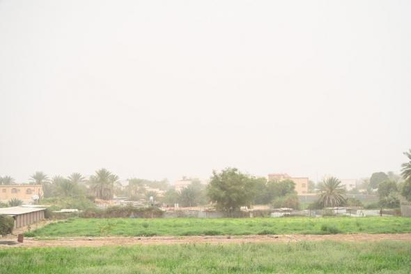 نجران.. غبار ومطر والرحلات الجوية منتظمة