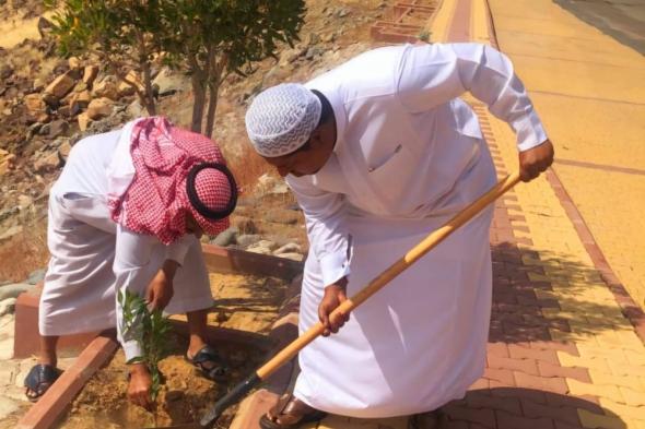 بالصور.. تنفيذ مبادرة تطوعية للتشجير بمحافظة الكامل