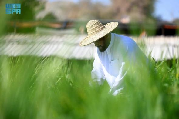 في شهر البركات.. السعوديون يتنافسون في الأعمال الخيرية