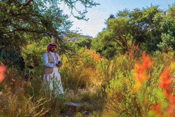 مختصون لـ "اليوم": يوم مبادرة السعودية الخضراء مناسبة هامة لتعزيز الاستدامة