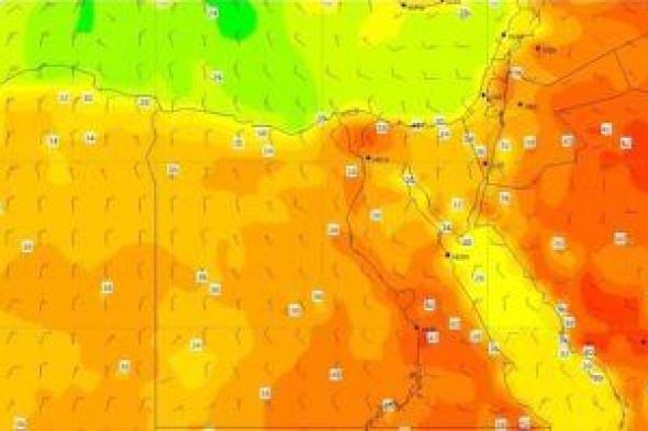 الطقس غدا.. أجواء مائلة للحرارة وشبورة كثيفة صباحا والقاهرة 28 درجة