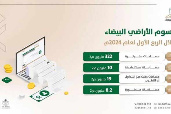 "الأراضي البيضاء".. فوترة 332 مليون م2 خلال الربع الأول من 2024