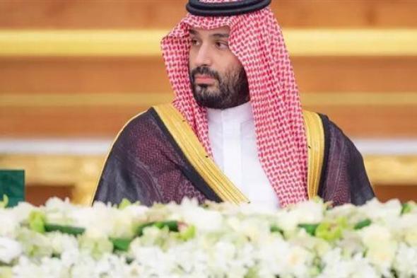 ولي العهد السعودي: هدفنا الوصول إلى اقتصاد عالمي متماسك من خلال تعزيز التعاون الدولي