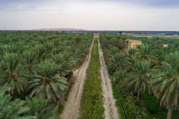 مدينة مصغرة لواحة الأحساء الزراعية