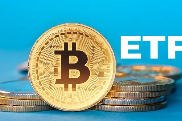 تحليل: لماذا لا ينبغي للمستثمرين التفاعل عاطفيا مع تدفقات صناديق ETF البيتكوين؟