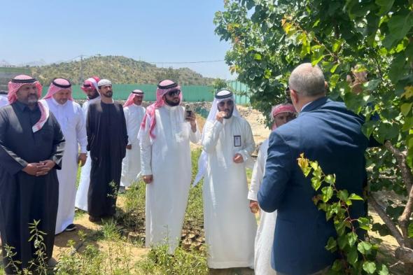 ورشة عمل في بني مالك لتعزيز قدرات منتجي المشمش