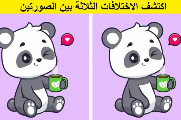 هل يمكنك اكتشاف 3 اختلافات في صورة الباندا خلال 7 ثوان