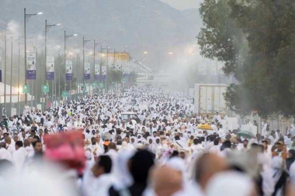 تعرف على قصة أشجار عرفات.. نبتت في الهند وقدمت من السودان