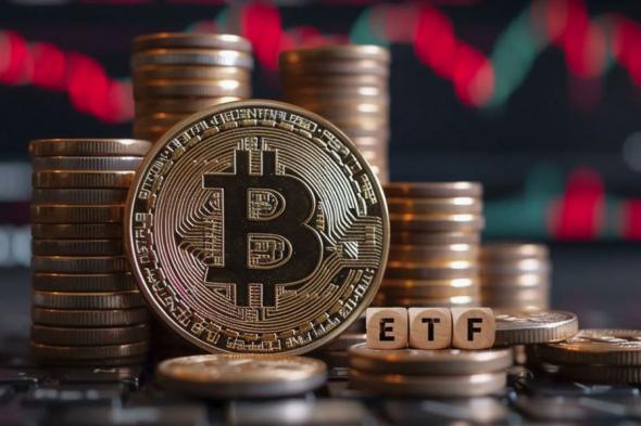 التدفق الخارجي من صناديق ETF البيتكوين مستمر: التفاصيل هنا