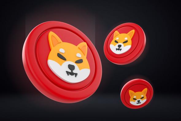 عضو من فريق “Shiba Inu” يطلق تحذيرا تزامنا مع انخفاض معدل حرق SHIB بنسبة 100%