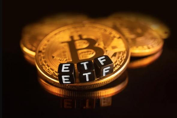 استمرار نزيف الأموال من صناديق ETF البيتكوين وتزايد حالة الذعر بين المؤسسات!