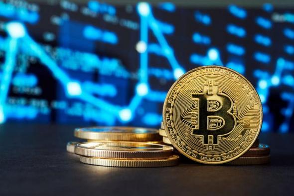 تعافي البيتكوين فوق مستوى 56 ألف دولار مع ارتداد في أسعار العملات الرقمية البديلة