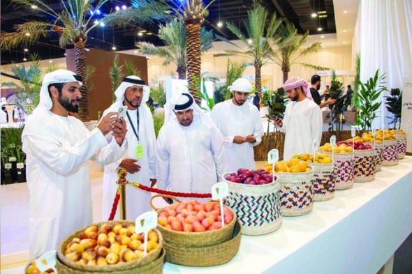 الامارات | «صندوق الفرجان» راعياً لجوائز «نخلة البيت» في «دبي للرطب»